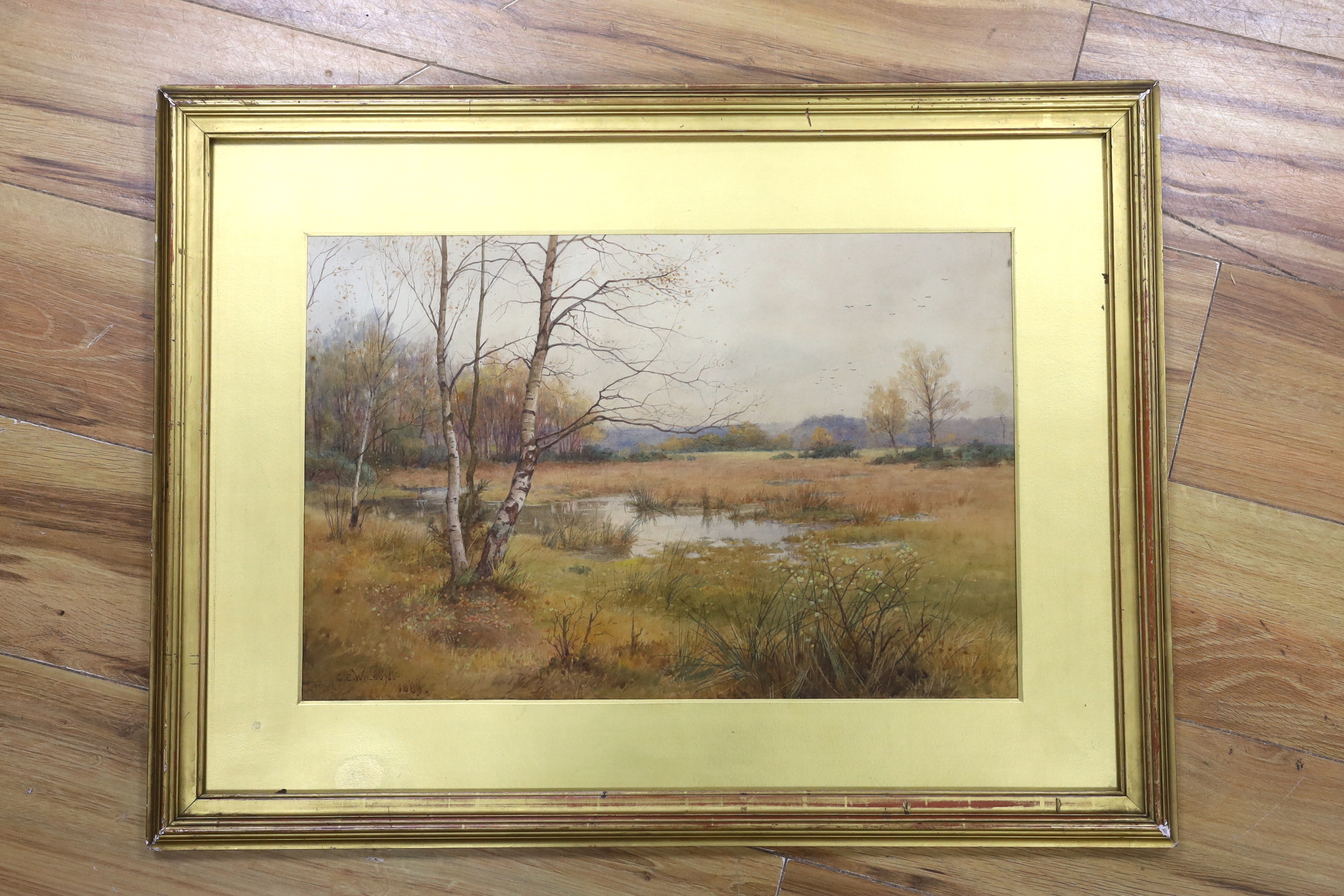 Charles Edward Wilson (1854-1941), watercolour, Landscape with birch trees, signed and dated 1889, 32 x 48cm